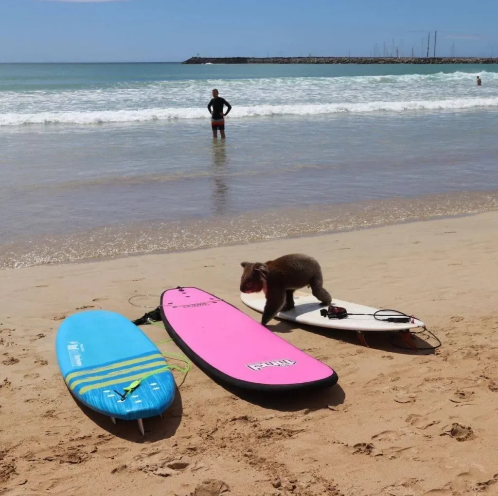 Apollo Bay