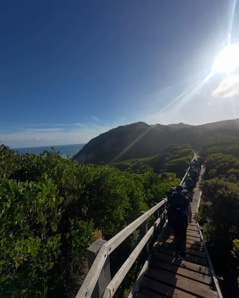 Cape Otway rainforests