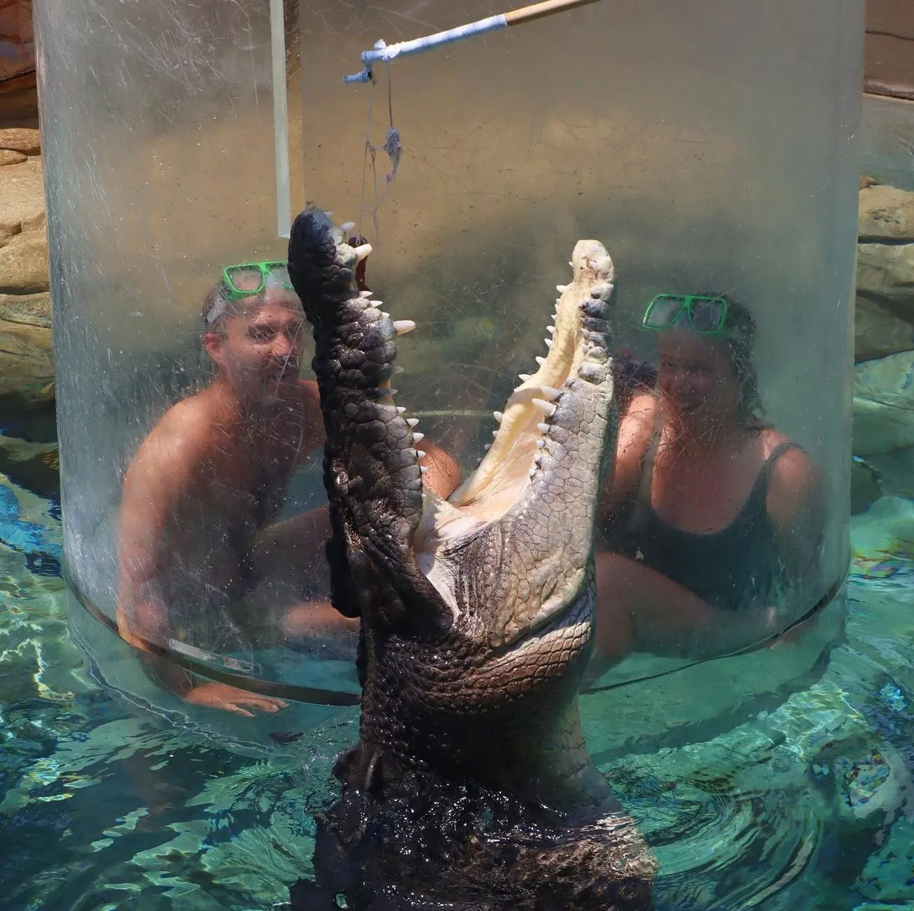 Crocosaurus Cove
