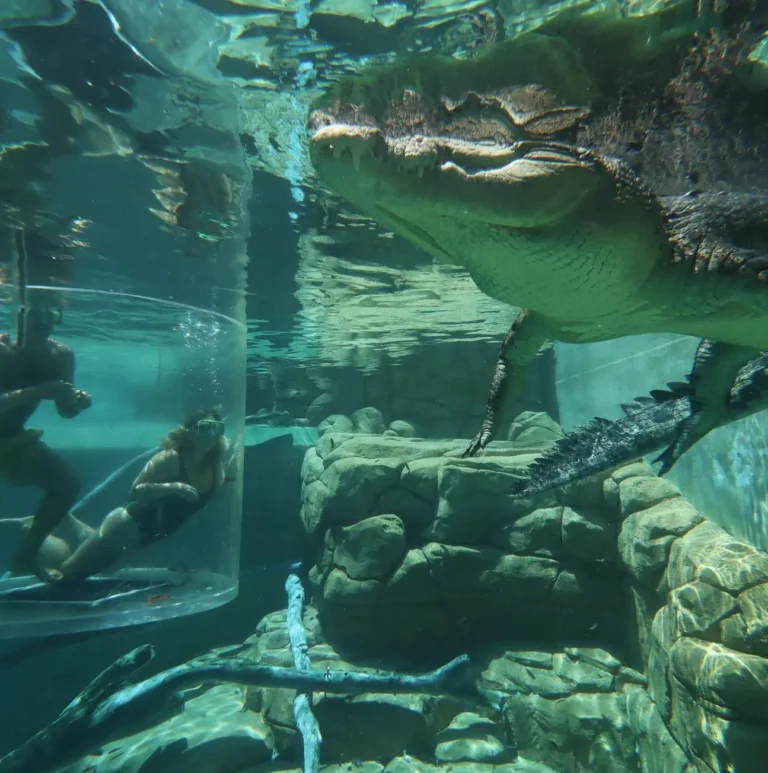 Family-Friendly Darwin: Explore in 48 Hours