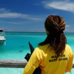 Is Trip Insurance Necessary for 2026 GBR Tours? A Cost-Benefit Analysis