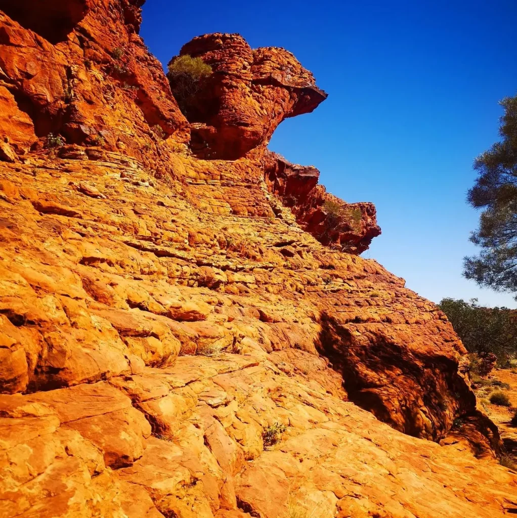Watarrka National Park